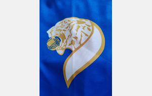 maillot du club 